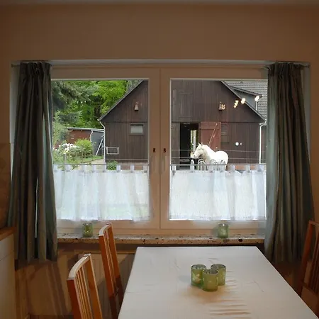 Barock Hengst Hof Niederhaverbeck