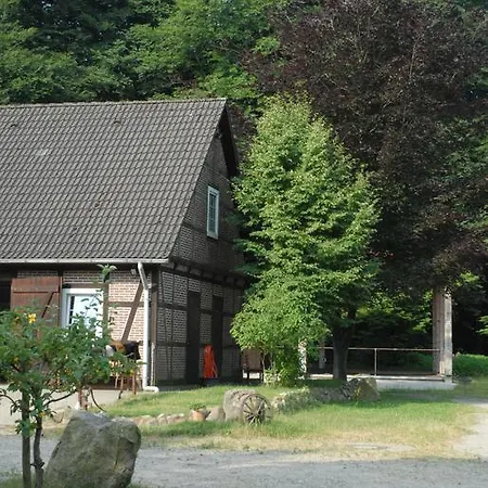Barock Hengst Hof * Niederhaverbeck